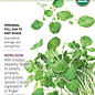 Seed Herb Watercress Organic - Nasturtium officinale