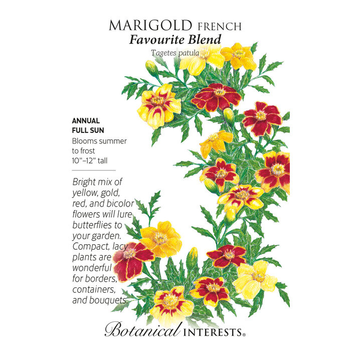 Seed Flwr Marigold French Favourite Blend - Tagetes patula