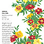 Seed Flwr Marigold French Favourite Blend - Tagetes patula