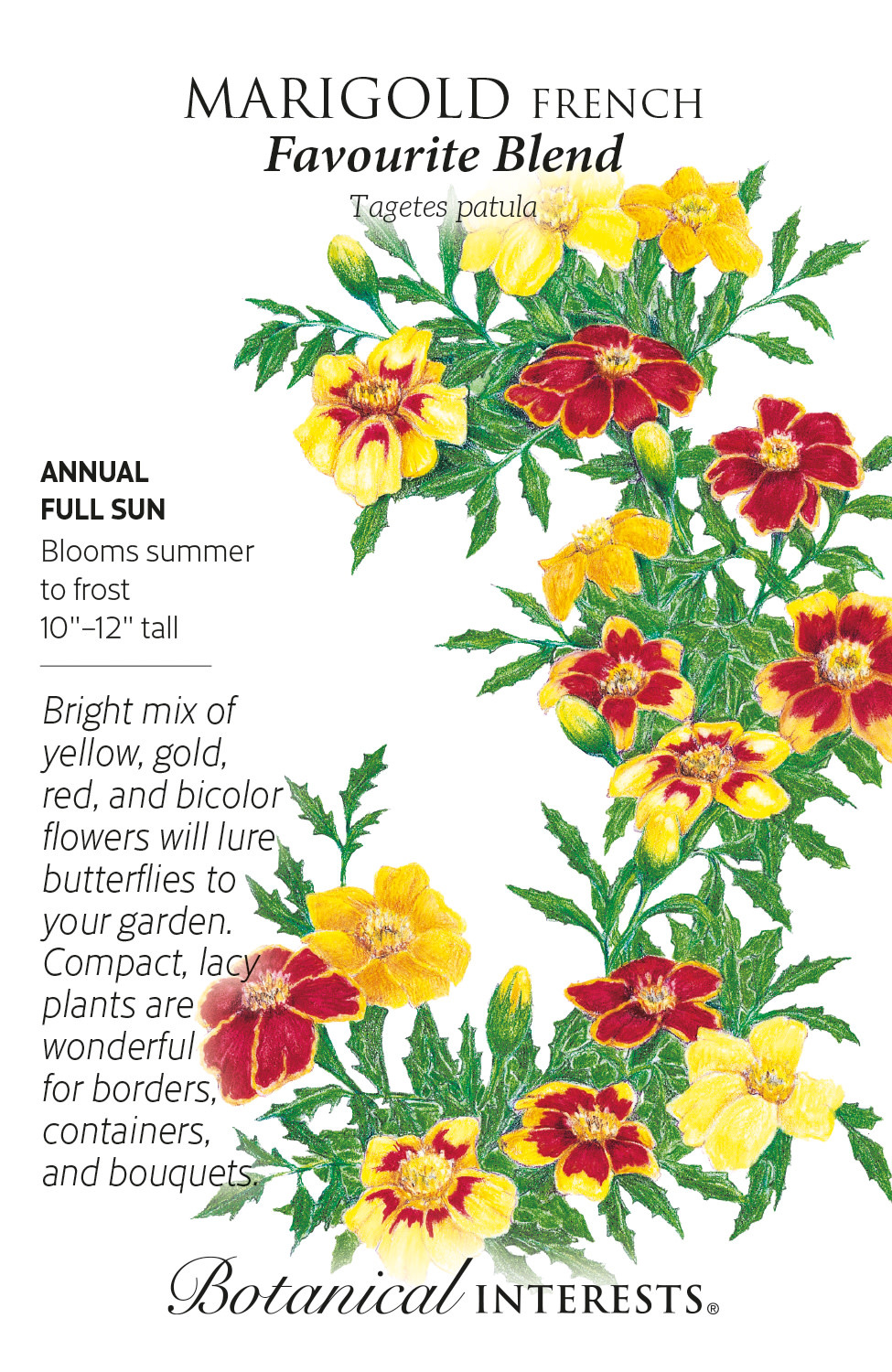 Seed Flwr Marigold French Favourite Blend - Tagetes patula