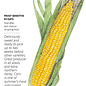 Seed Corn Sweet Buttergold - Zea mays (hybrid) - Lrg Pkt