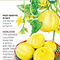 Seed Veg Cucumber Lemon Organic Heirloom - Cucumis sativus