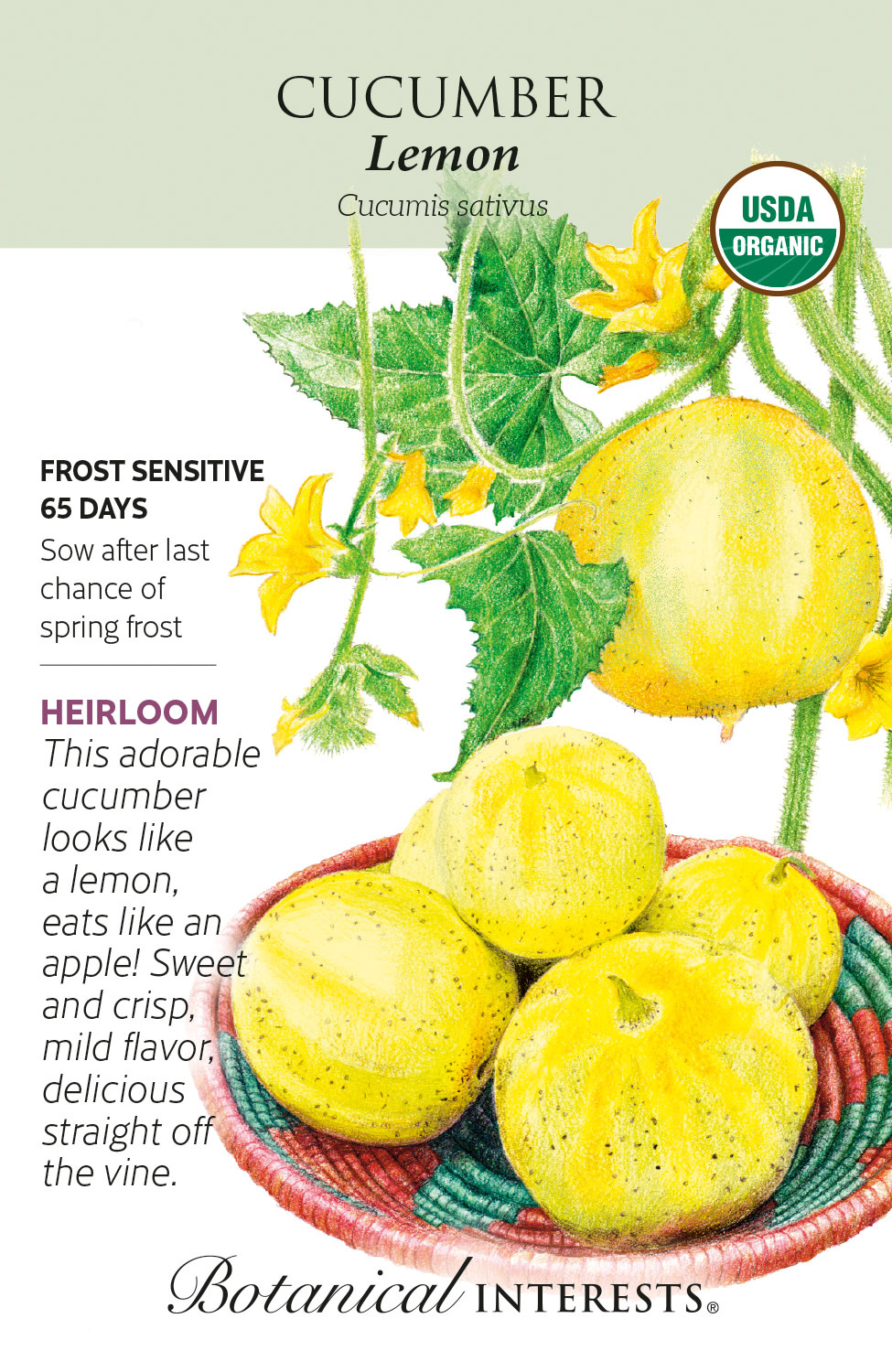 Seed Veg Cucumber Lemon Organic Heirloom - Cucumis sativus