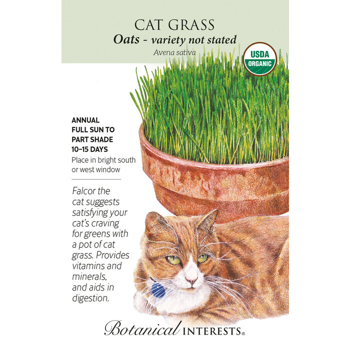Seed Herb Cat Grass Mix Organic - Avena sativa, Triticum aestivum, Hordeum vulgare