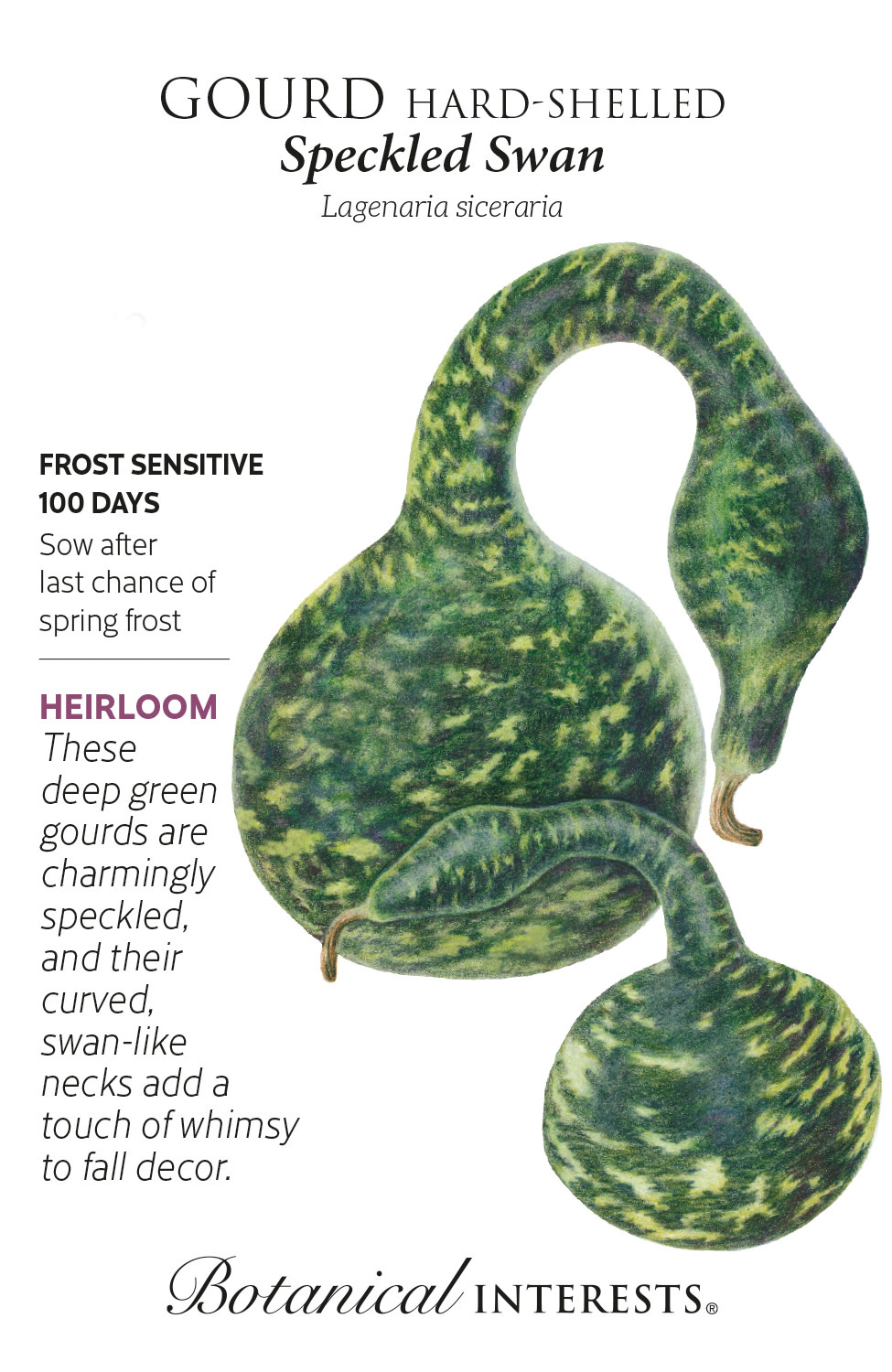 Seed Flwr Gourd Speckled Swan Heirloom - Lagenaria siceraia