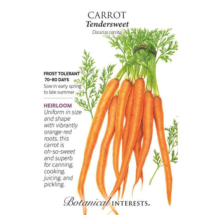 Seed Veg Carrot Tendersweet Heirloom - Daucus carota sativus