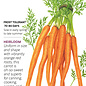 Seed Veg Carrot Tendersweet Heirloom - Daucus carota sativus