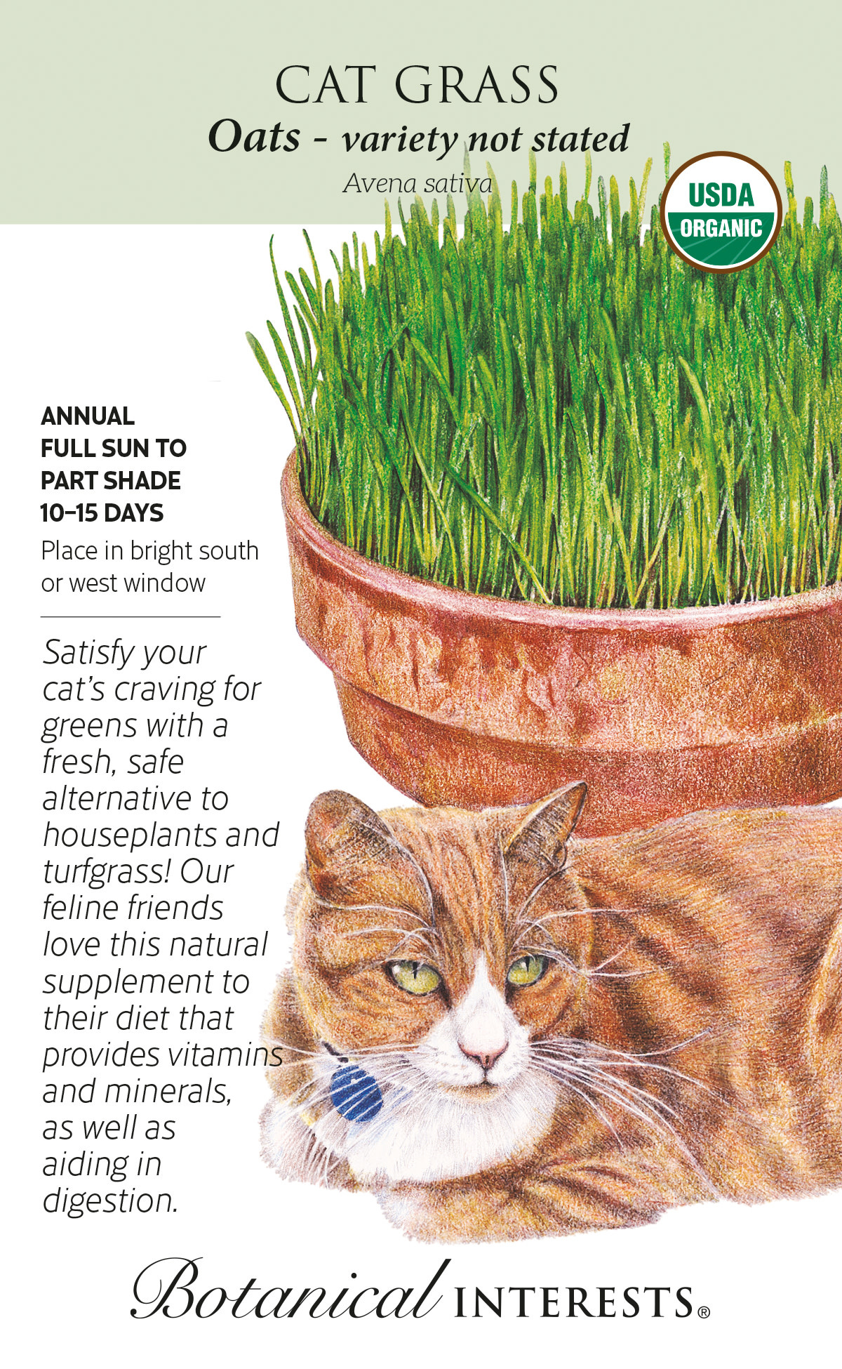 Seed Cat Grass Mix Organic -Avena sativa, Triticum aestivum, Hordeum vulgare - Lrg Pkt