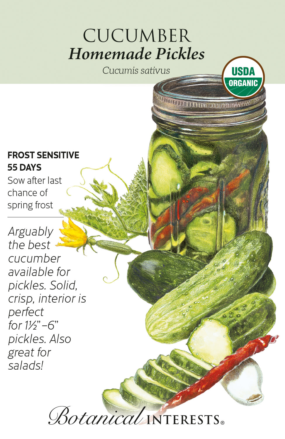 Seed Veg Cucumber Homemade Pickles Organic - Cucumis sativus