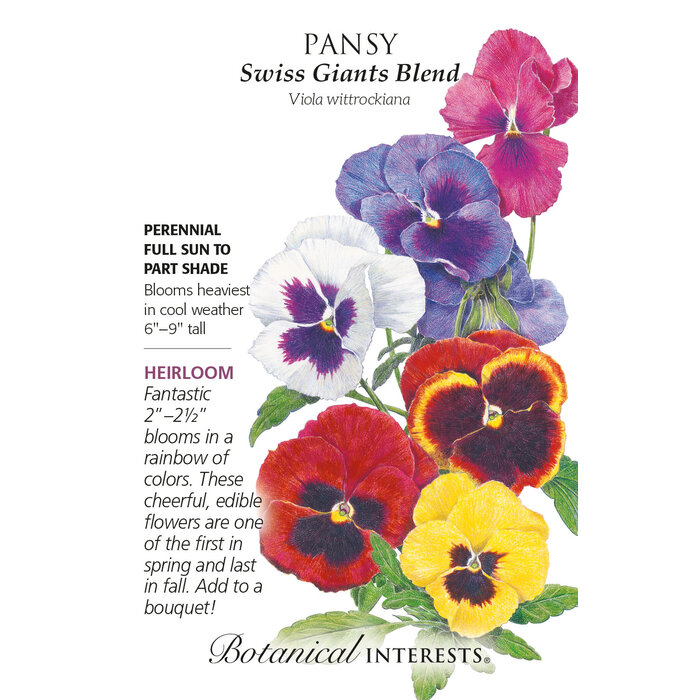 Seed Flwr Pansy Swiss Giant Blend Heirloom - Viola wittrockiana