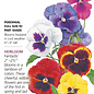 Seed Flwr Pansy Swiss Giant Blend Heirloom - Viola wittrockiana