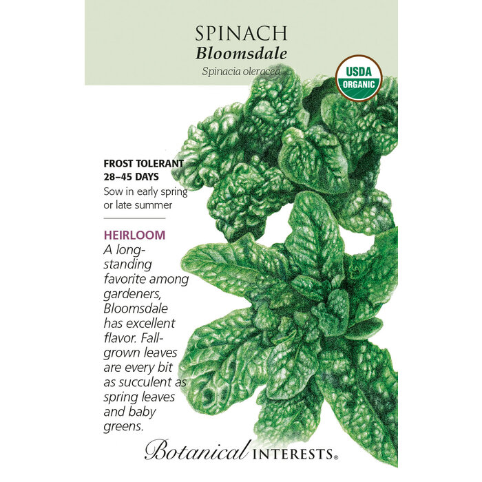 Seed Veg Spinach Bloomsdale Organic Heirloom - Spinacia oleracea