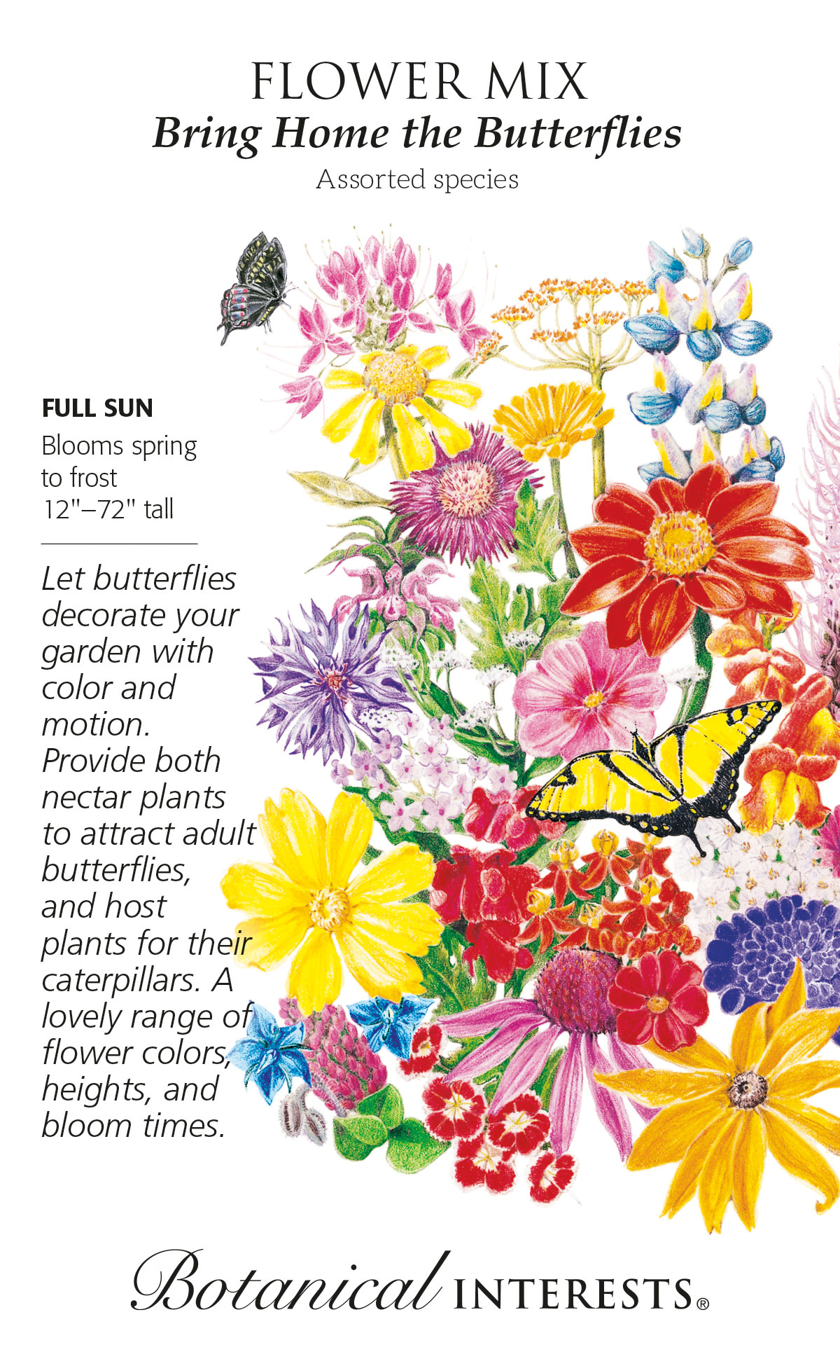Seed Flower Mix Bring Home the Butterflies - assorted - Lrg Pkt