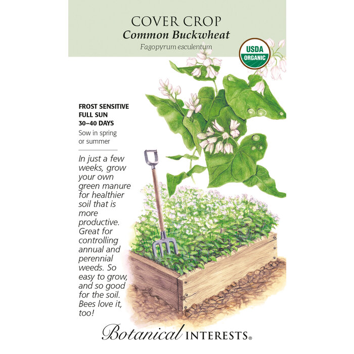 Seed Cover Crop Common Buckwheat Organic - Lrg Pkt