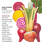 Seed Beet Gourmet Blend Organic Heirloom - Beta vulgaris - Lrg Pkt
