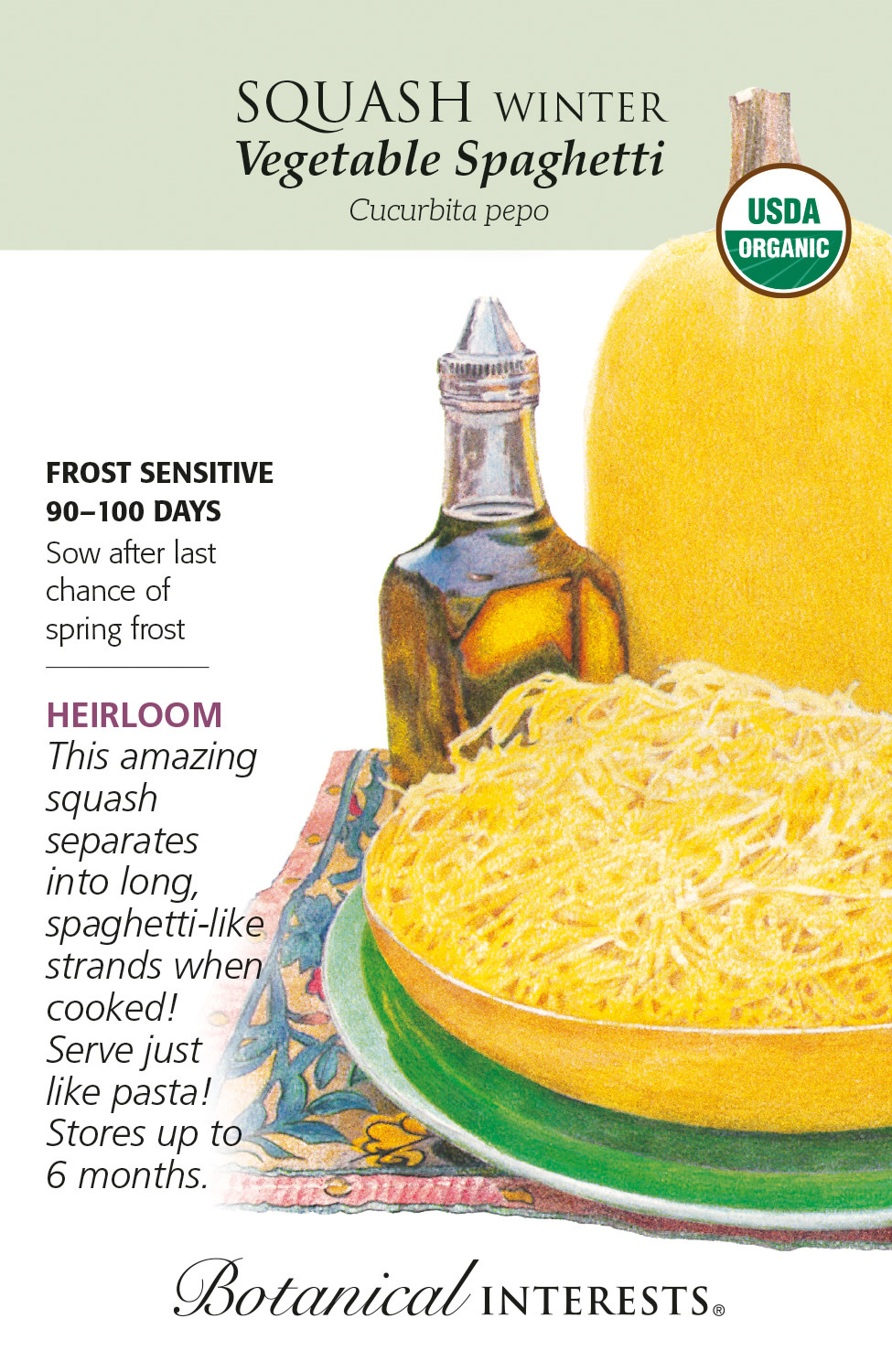 Seed Veg Squash Winter Vegetable Spaghetti Organic Heirloom - Curcurbita pepo