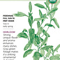 Seed Herb Sage Broadleaf Organic Heirloom - Salvia officinalis