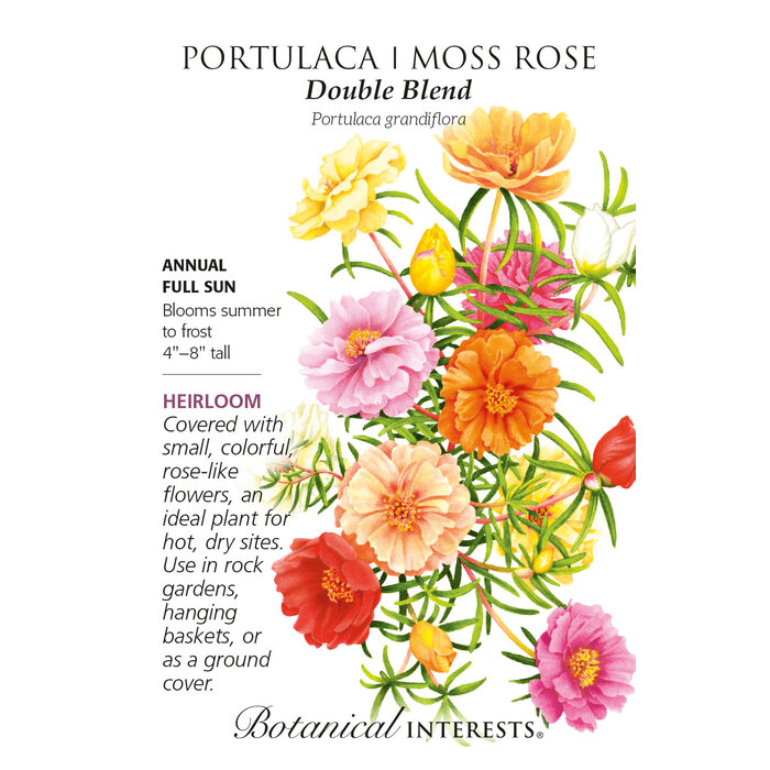 Seed Flwr Portulaca Moss Rose Double Blend Heirloom - Portulaca grandiflora