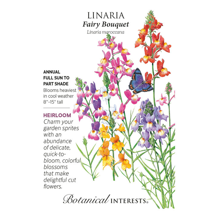 Seed Flwr Linaria Fairy Bouquet Heirloom - Linaria maroccana