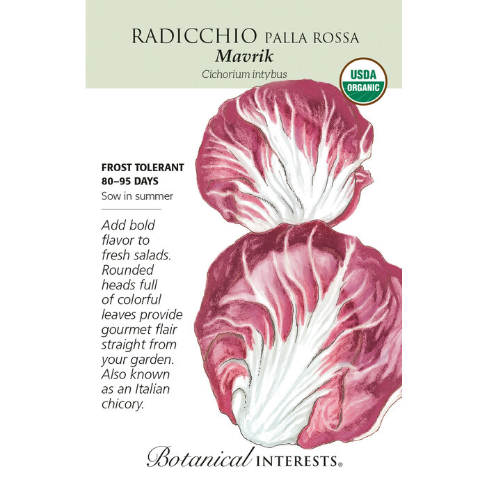 Chard Ruby Red/Rhubarb (Organic)