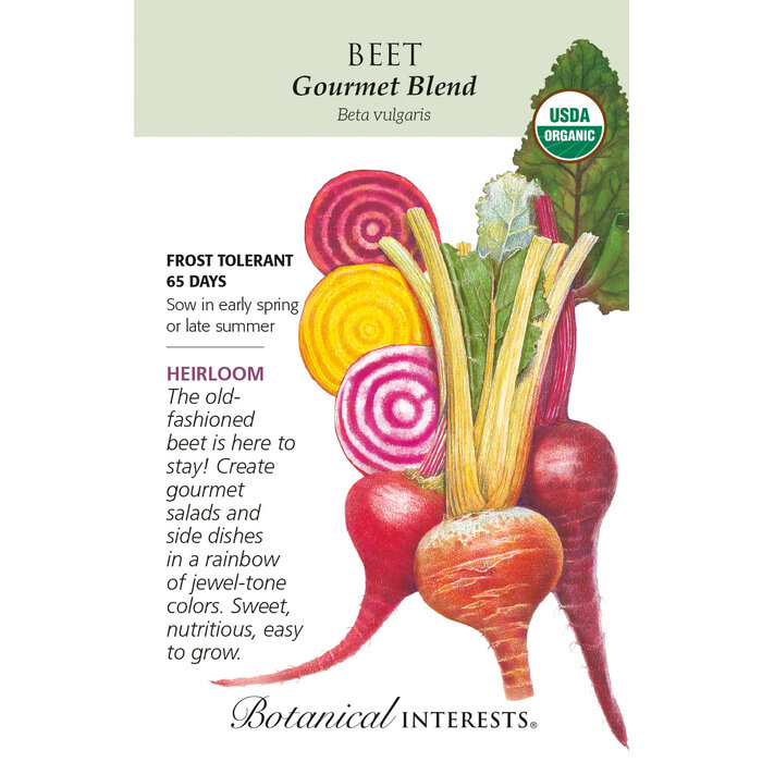 Seed Veg Beet Gourmet Blend Organic Heirloom - Beta vulgaris