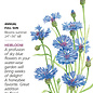 Seed Flwr Bachelor Button Blue Boy Heirloom - Centaurea cyanus