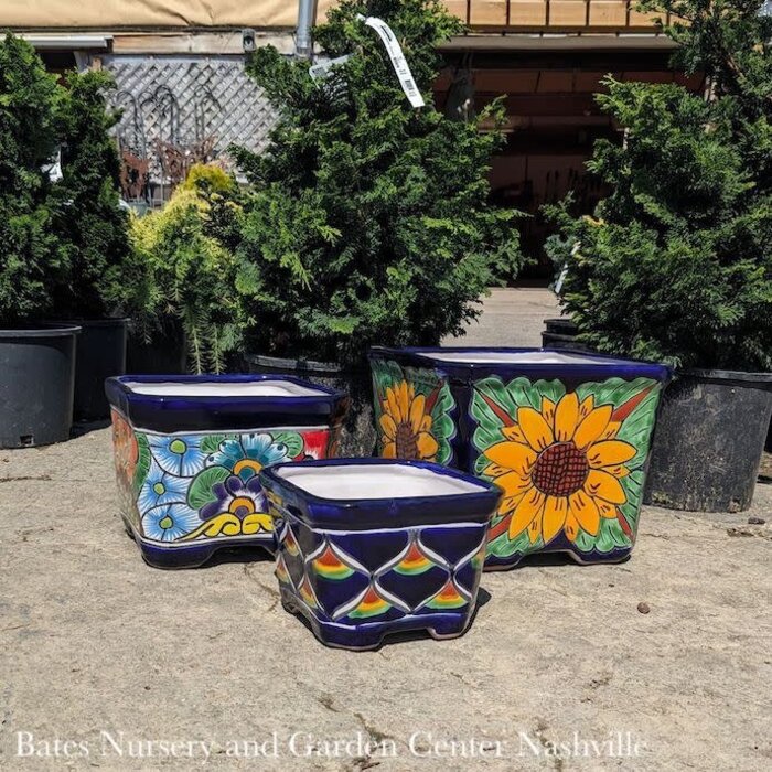 Pot Square Lrg 12x12 Talavera