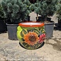 Pot Vase Squat w/2 handles Xlg 15x14 Talavera