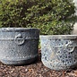 Pot Karena Ring on Ring Planter Sml 17x14 Atlantis Blue or Brown