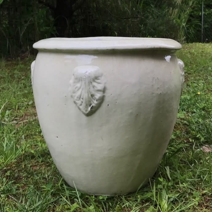Pot French Jar w/Leaf Decor 18x18 Asst