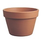 Pot Azalea 8.25" Short Clay Standard  / Terracotta