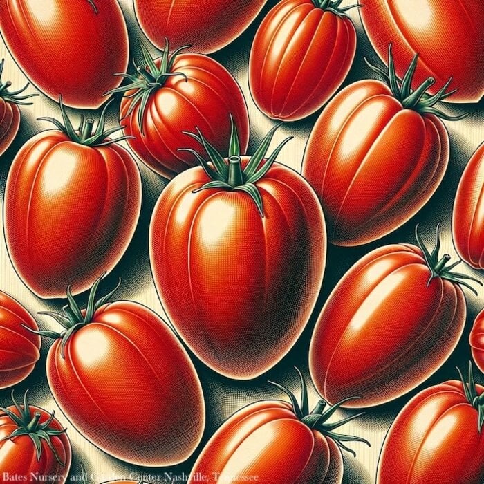Seed Tomato Roma