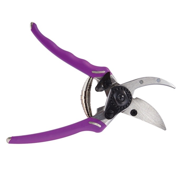 Bypass Pro Pruner Dramm Colorpoint (sim to Felco) Purple