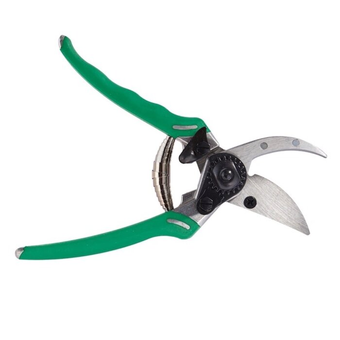 Bypass Pro Pruner Dramm Colorpoint (sim to Felco) Green