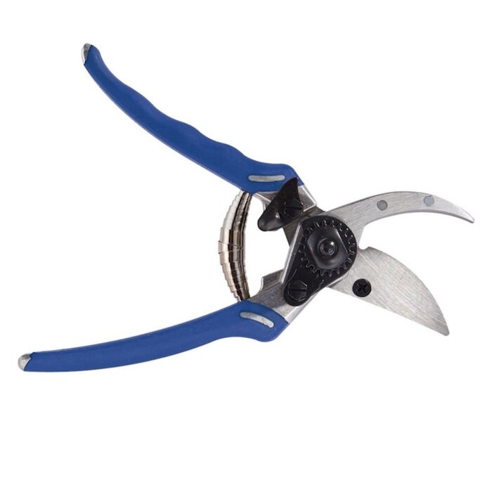 Bypass Pro Pruner Dramm Colorpoint (sim to Felco) Blue