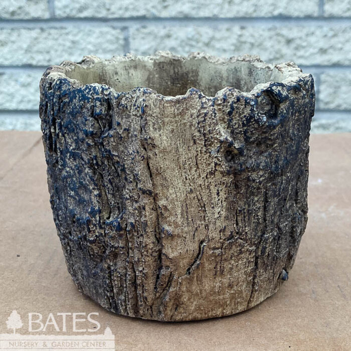 Pot White Oak Planter 4.75x4 Cement