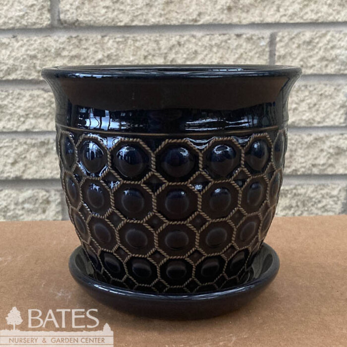 Pot Oxford Circles Planter w/att Saucer Sml 6x5 Deep Blue