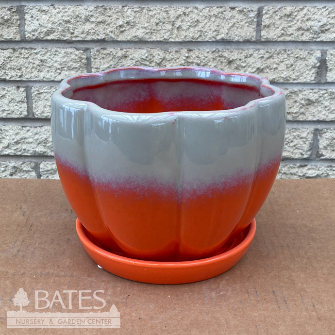 Pot Petal Bowl w/att Saucer 7.5x5.5 Orange