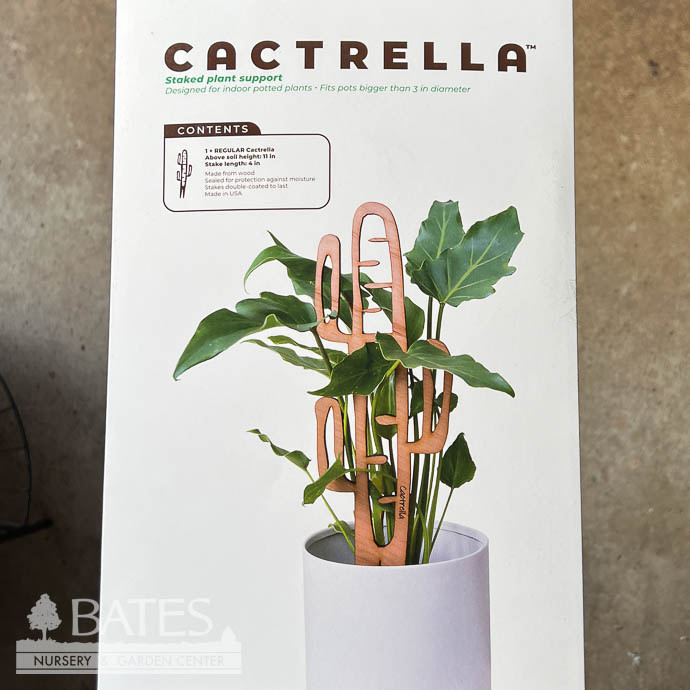 Stake Cactrella /Cactus Silhouette Regular Cherry Treleaf