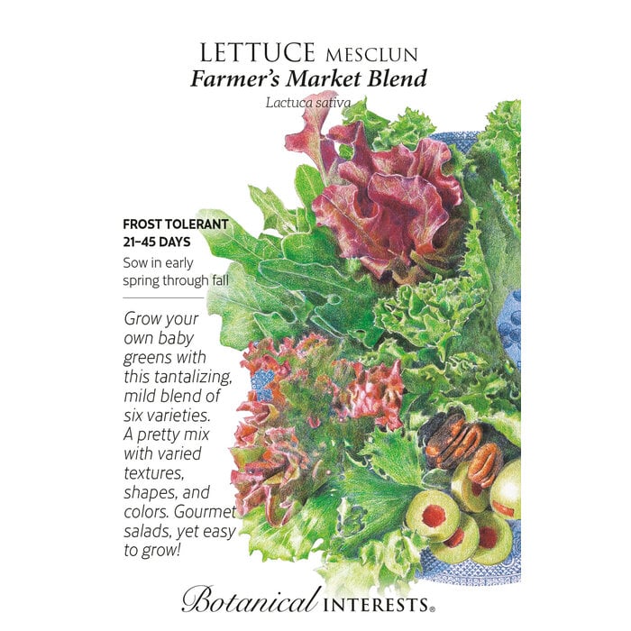 Seed Veg Lettuce Mesclun Farmer's Market - Lactuca sativa