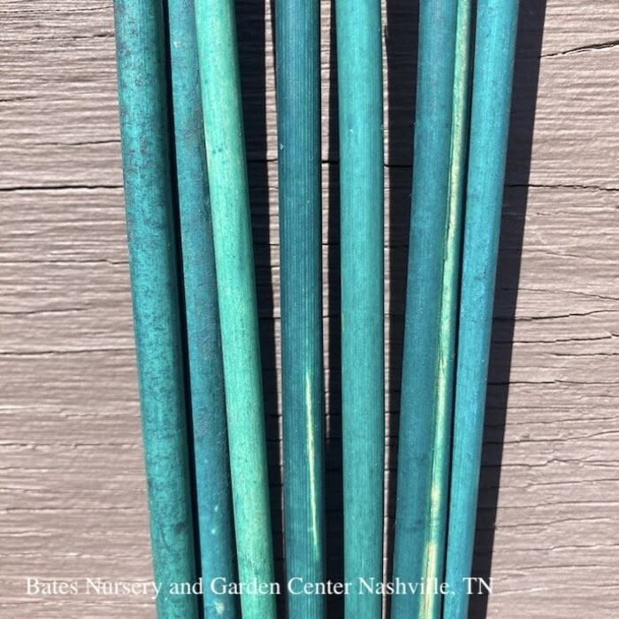 5' Bamboo Stakes Green 6/pkg Orbit