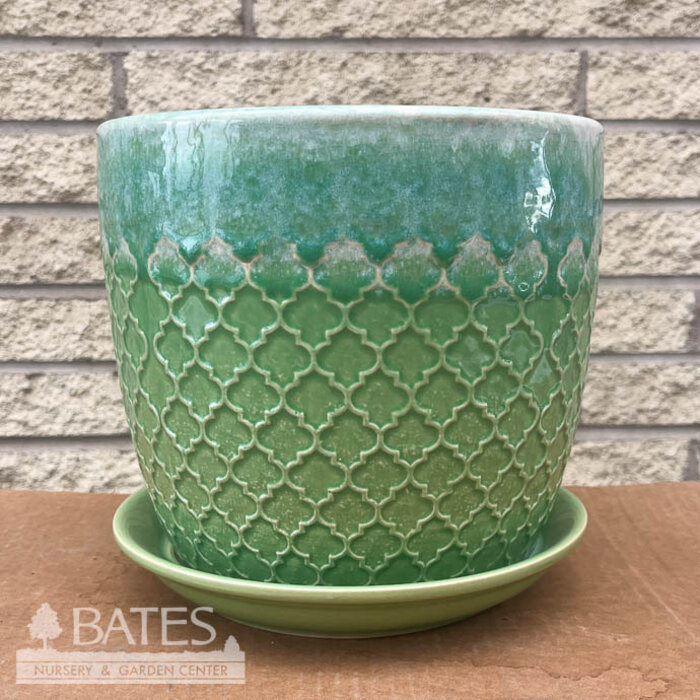 Pot Abra Ogee Quatrefoil Lrg 8x7.75 Green Drip