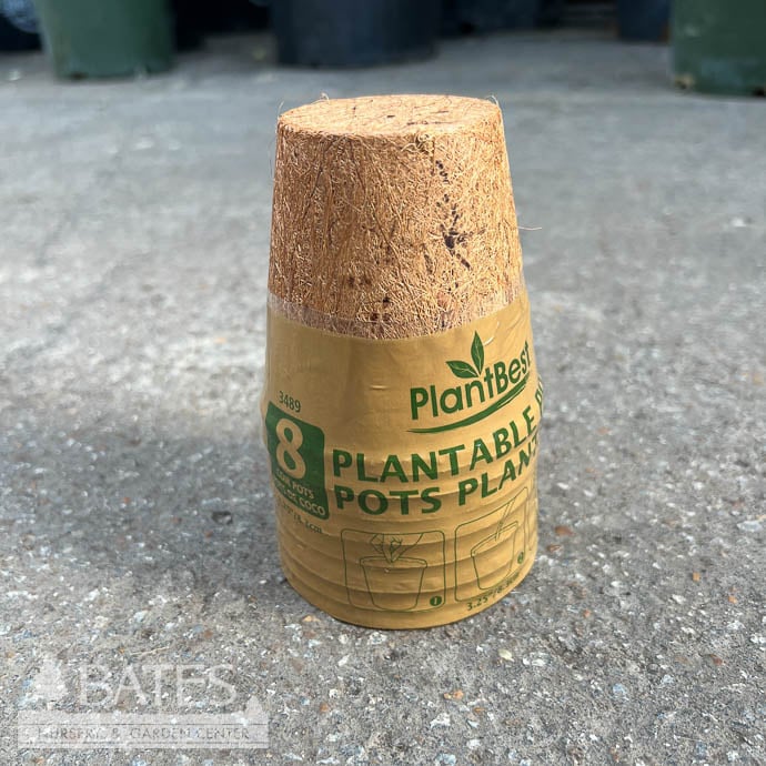 Coconut Coir Pot 3" Biodegradable 8/pk PlantBest