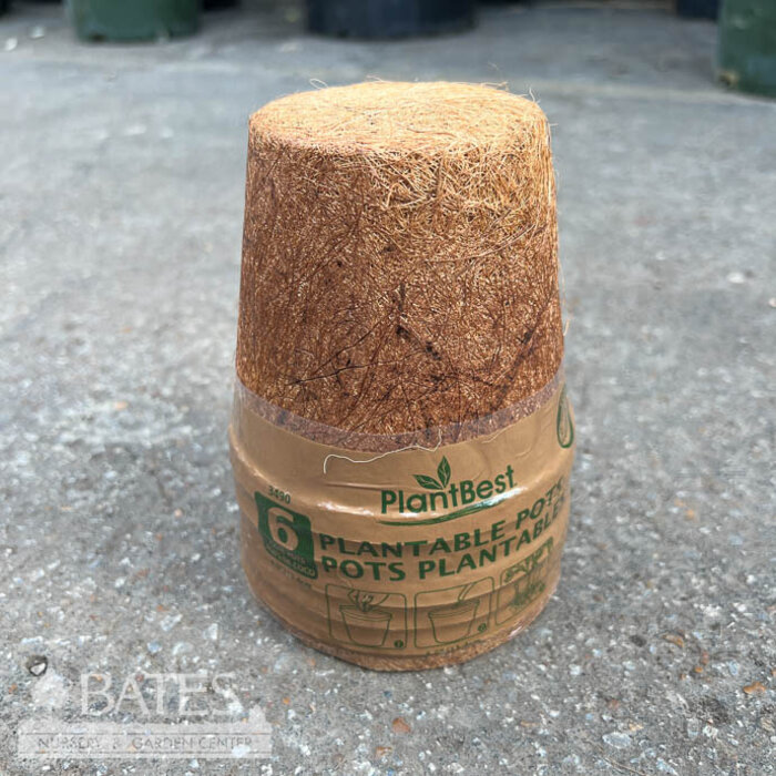 Coconut Coir Pot 4.5" Biodegradable 6/pk PlantBest