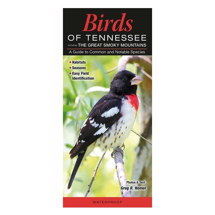 Booklet Birds of Tennessee Quick Reference Guide