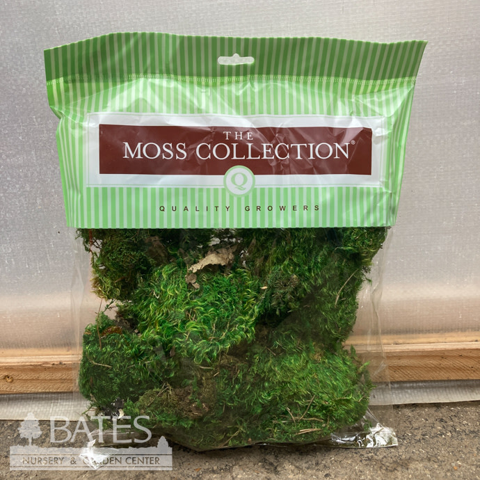 328 cu in Pkg Mood Moss Preserved Medium Quality Growers