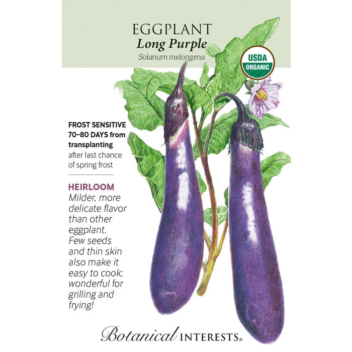 Seed Veg Eggplant Long Purple Organic Heirloom - Solanum melongena