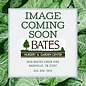 #1 Grass Panicum virg Haense Herms/ Switch Native (TN)