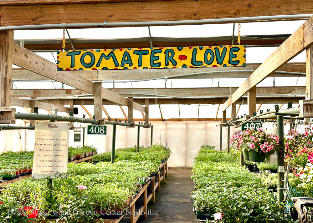 Tomaters