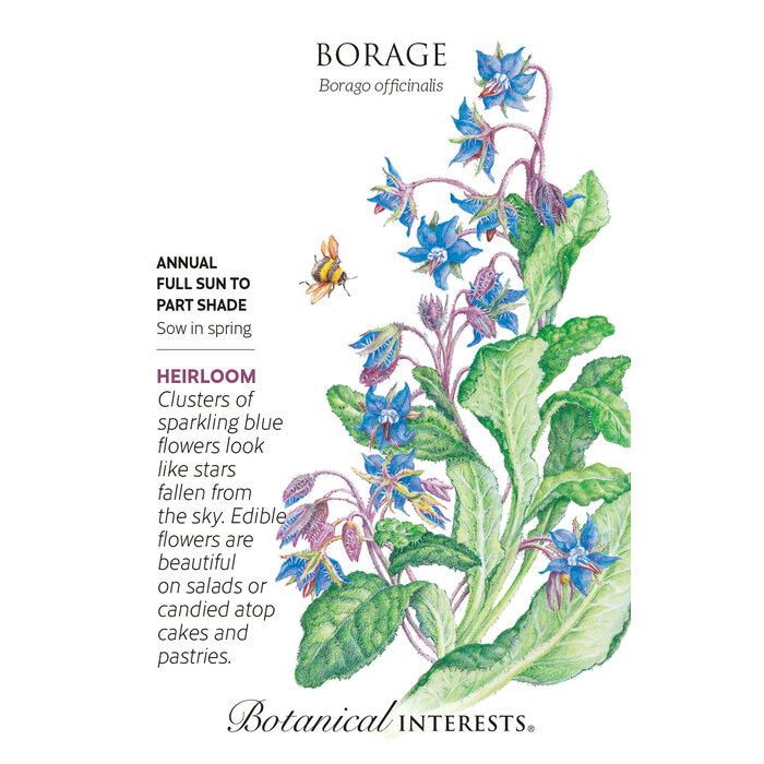 Seed Herb Borage Heirloom - Borago officinalis